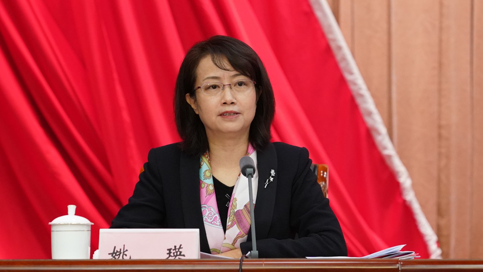 3.姚英专职副会长讲话.JPG