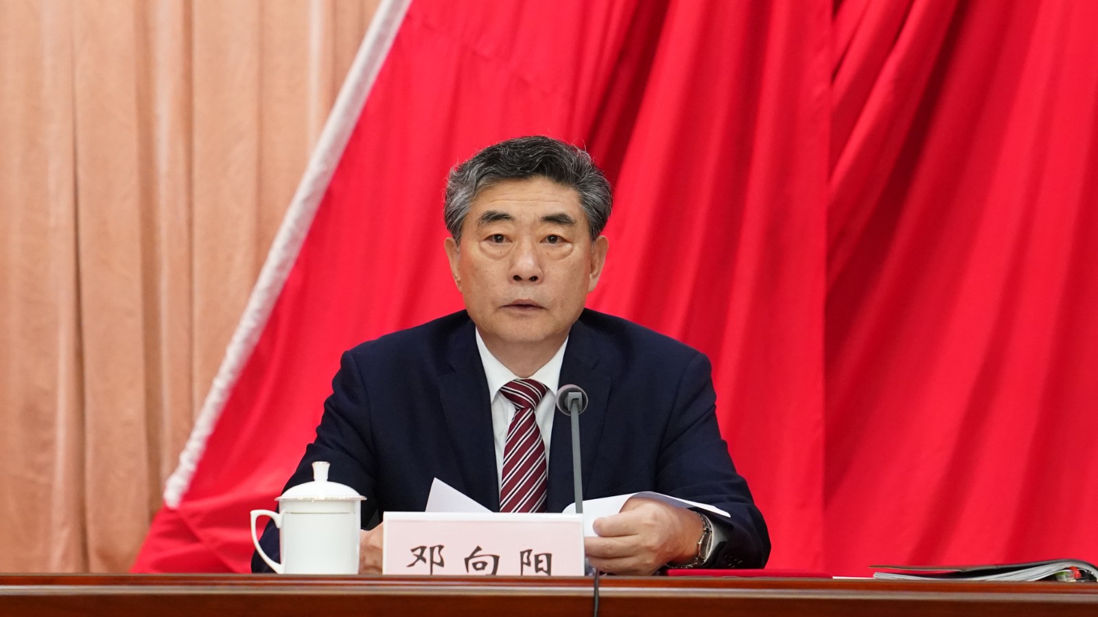 4.邓向阳会长讲话.JPG